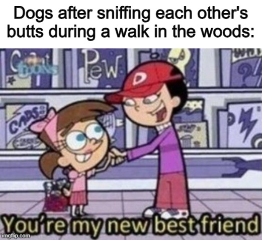 Besties forever... until you continue your walk and never see each other again ;-; | Dogs after sniffing each other's butts during a walk in the woods: | made w/ Imgflip meme maker