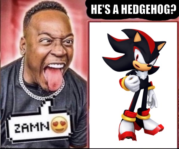 this is more of a jokey post so im posting it here | HE'S A HEDGEHOG? | image tagged in zamn | made w/ Imgflip meme maker