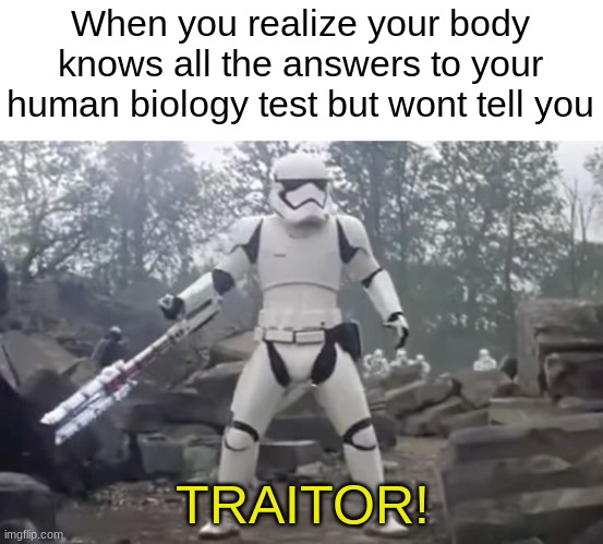 WHY WONT YOU TELL ME | When you realize your body knows all the answers to your human biology test but wont tell you; TRAITOR! | image tagged in traitor,test,body | made w/ Imgflip meme maker