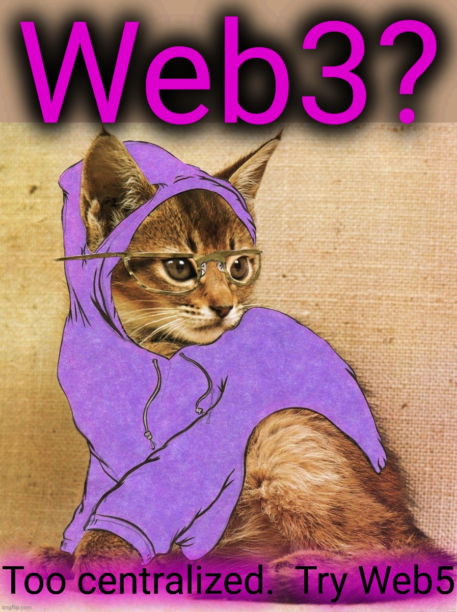 Hipster Kitty | Web3? Too centralized.  Try Web5 | image tagged in hipster kitty,web3,web5 | made w/ Imgflip meme maker