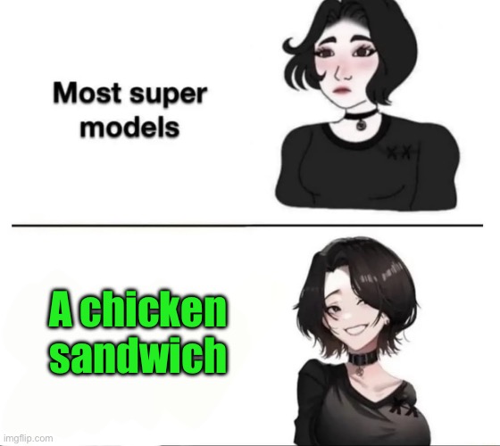 Most Supermodels | A chicken sandwich | image tagged in most supermodels | made w/ Imgflip meme maker