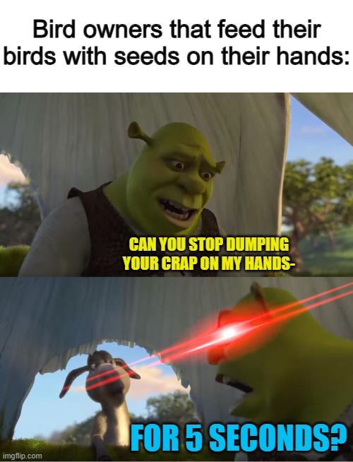 I hate when they do this >:( | Bird owners that feed their birds with seeds on their hands:; CAN YOU STOP DUMPING YOUR CRAP ON MY HANDS-; FOR 5 SECONDS? | image tagged in shrek for five minutes | made w/ Imgflip meme maker