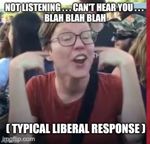 NOT LISTENING . . . CAN'T HEAR YOU . . . 
BLAH BLAH BLAH ( TYPICAL LIBERAL RESPONSE ) | made w/ Imgflip meme maker