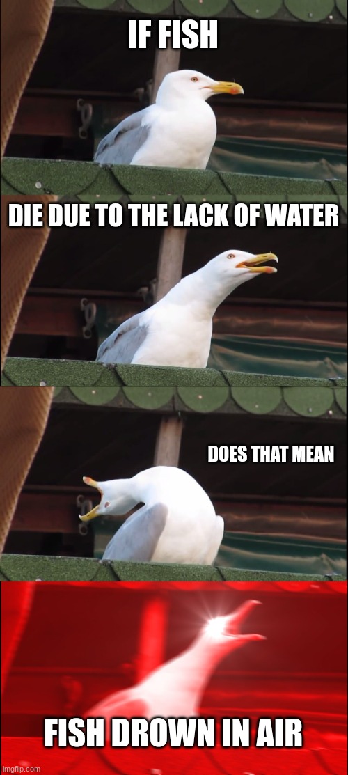 Inhaling Seagull | IF FISH; DIE DUE TO THE LACK OF WATER; DOES THAT MEAN; FISH DROWN IN AIR | image tagged in memes,inhaling seagull | made w/ Imgflip meme maker