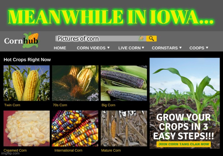 That's all they dew there | MEANWHILE IN IOWA... Pictures of corn | image tagged in iowa,the corn capital,of the world,cornhub | made w/ Imgflip meme maker