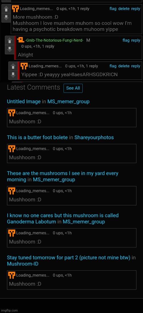 Mushhoom :D | image tagged in mushroom | made w/ Imgflip meme maker