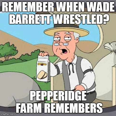 Pepperidge Farm Remembers | REMEMBER WHEN WADE BARRETT WRESTLED? PEPPERIDGE FARM REMEMBERS | image tagged in memes,pepperidge farm remembers | made w/ Imgflip meme maker