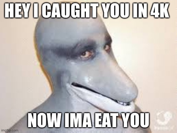 Dolphin Guy | HEY I CAUGHT YOU IN 4K; NOW IMA EAT YOU | image tagged in dolphin guy | made w/ Imgflip meme maker