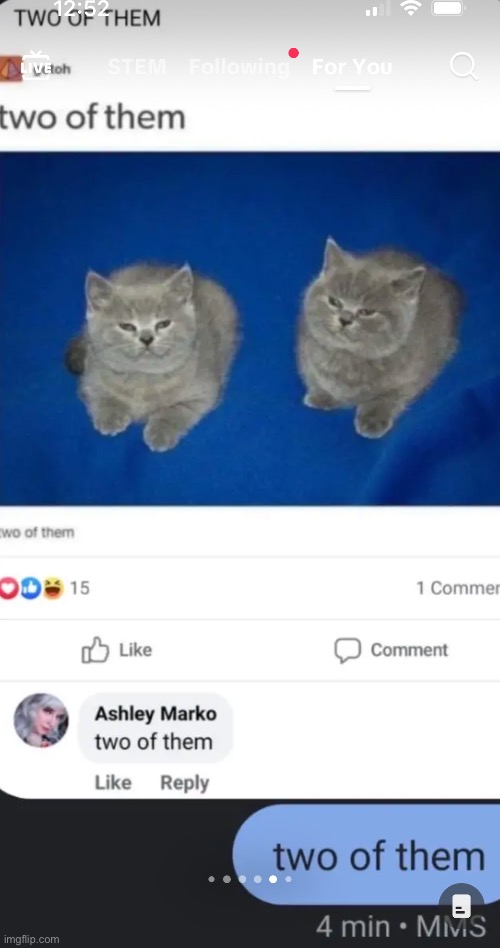 Two of them | image tagged in two of them | made w/ Imgflip meme maker