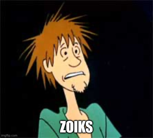 Shaggy - Zoiks | ZOIKS | image tagged in shaggy - zoiks | made w/ Imgflip meme maker