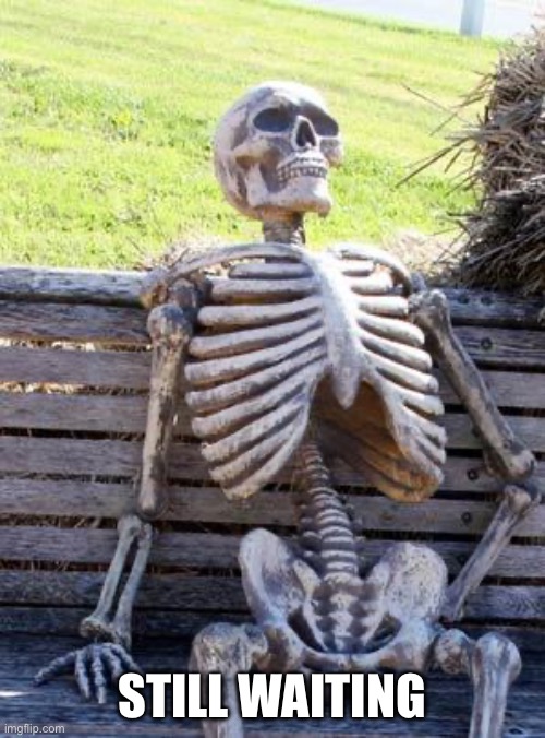 Waiting Skeleton | STILL WAITING | image tagged in memes,waiting skeleton | made w/ Imgflip meme maker