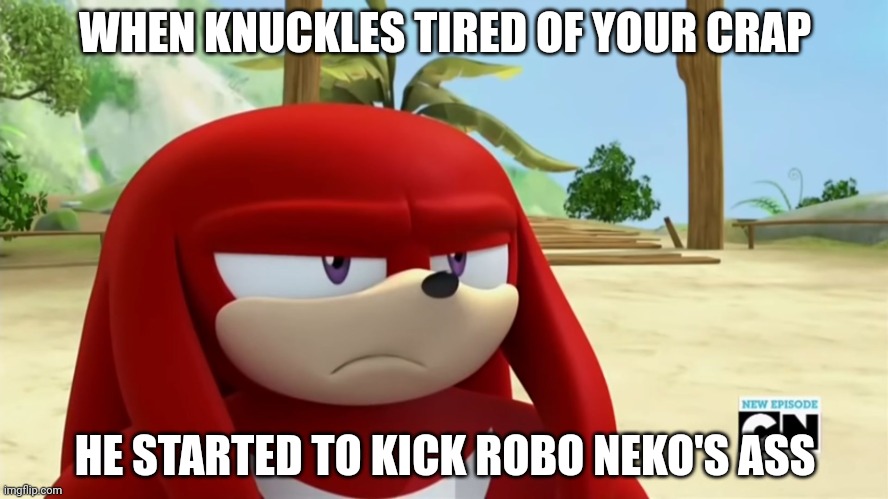 Knuckles is tired of robo nekos | WHEN KNUCKLES TIRED OF YOUR CRAP; HE STARTED TO KICK ROBO NEKO'S ASS | image tagged in knuckles is not impressed - sonic boom | made w/ Imgflip meme maker