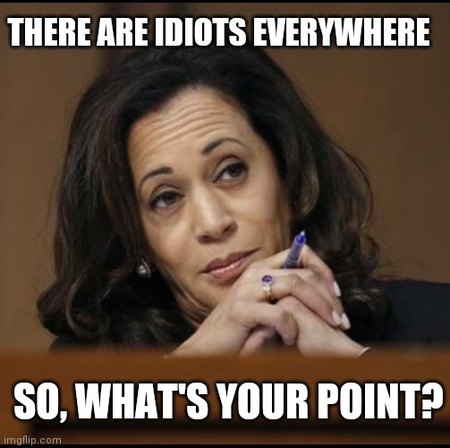 Kamala Harris  | SO, WHAT'S YOUR POINT? THERE ARE IDIOTS EVERYWHERE | image tagged in kamala harris | made w/ Imgflip meme maker