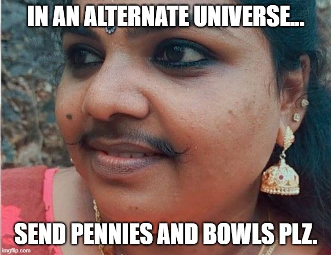 IN AN ALTERNATE UNIVERSE... SEND PENNIES AND BOWLS PLZ. | image tagged in bobs and vagene,indian,mustache,dirty mind | made w/ Imgflip meme maker