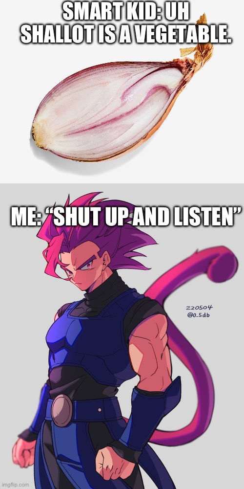 SHALLOT IS A VEGETABLE???? | SMART KID: UH SHALLOT IS A VEGETABLE. ME: “SHUT UP AND LISTEN” | image tagged in vegetables,shallot | made w/ Imgflip meme maker