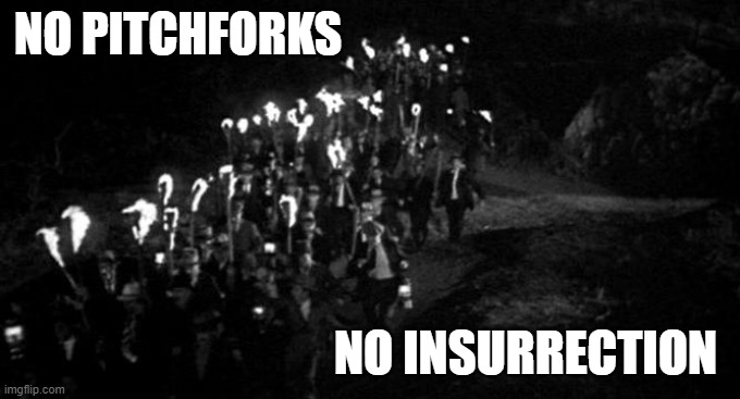 Frankenstein Village Mob Torches Pitchforks | NO PITCHFORKS NO INSURRECTION | image tagged in frankenstein village mob torches pitchforks | made w/ Imgflip meme maker