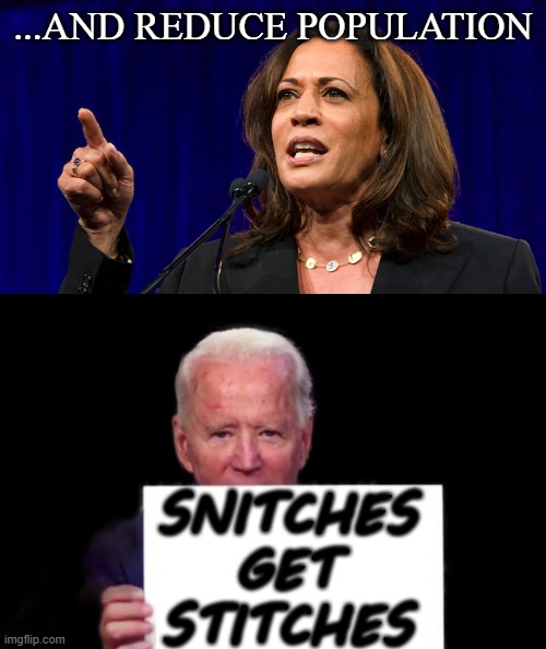 Biden Crime Family | ...AND REDUCE POPULATION; SNITCHES GET STITCHES | image tagged in memes,politics | made w/ Imgflip meme maker
