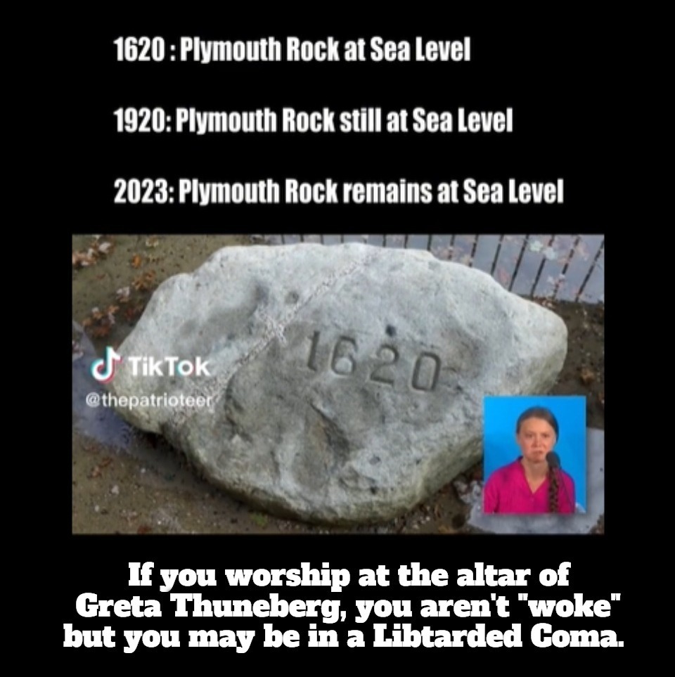 How dare you. | image tagged in ecofascist greta thunberg,libtard,sir you've been in a coma,coma,plymouth rock,never go full retard | made w/ Imgflip meme maker