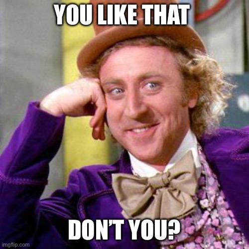 Willy Wonka Blank | YOU LIKE THAT; DON’T YOU? | image tagged in willy wonka blank | made w/ Imgflip meme maker