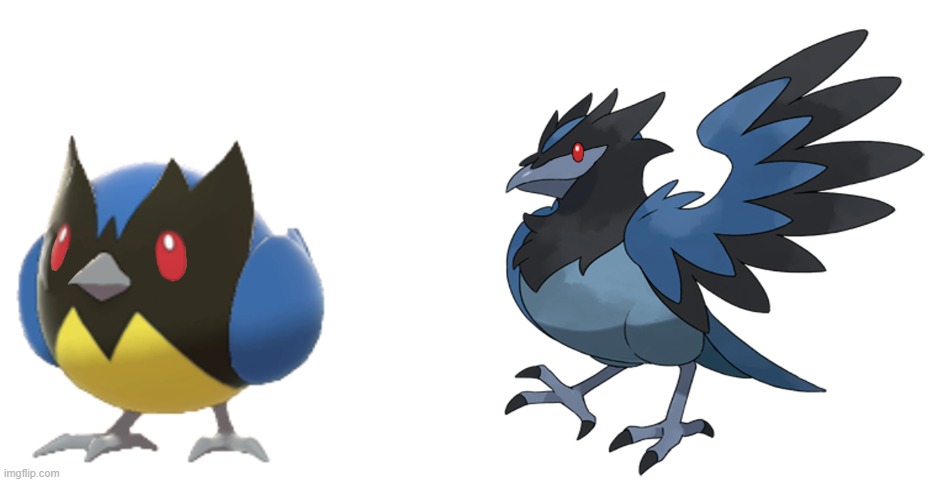 So I heard that the white parts of Rookidee's and Corvisquire's eyes are just markings so I decided to edit them out and... | image tagged in pokemon,blursed | made w/ Imgflip meme maker