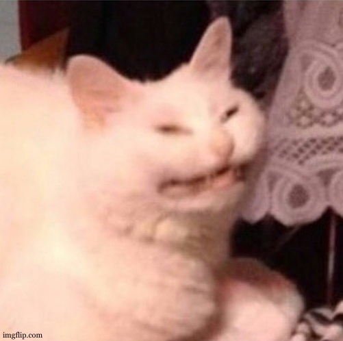 Cat Laughing | image tagged in cat laughing | made w/ Imgflip meme maker