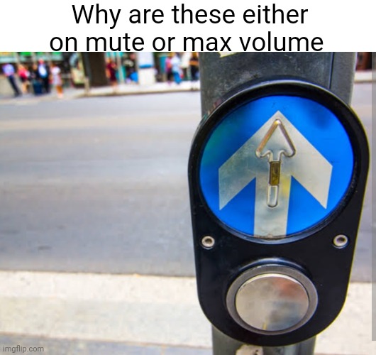 So true | Why are these either on mute or max volume | image tagged in blank white template | made w/ Imgflip meme maker