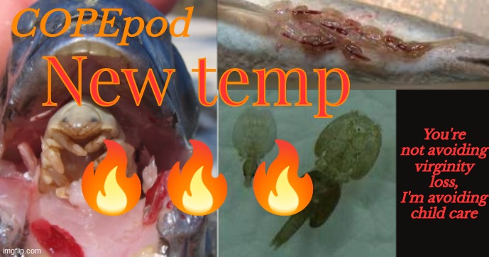 COPEpod's announcement template | New temp; 🔥🔥🔥 | image tagged in copepod's announcement template | made w/ Imgflip meme maker