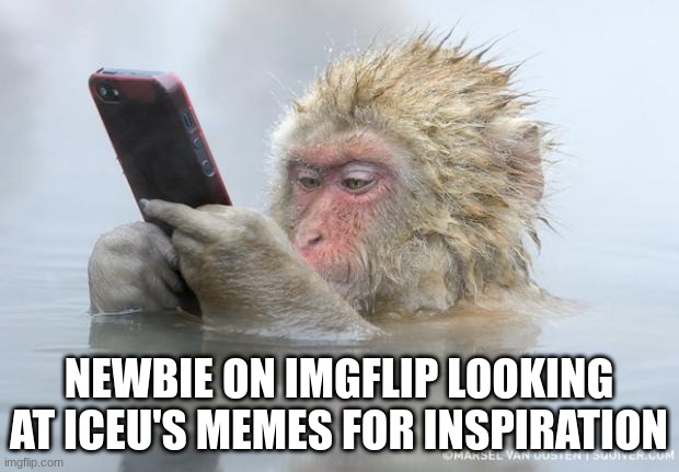 ICEU da best | NEWBIE ON IMGFLIP LOOKING AT ICEU'S MEMES FOR INSPIRATION | image tagged in monkey mobile phone,funny,memes,relatable,iceu | made w/ Imgflip meme maker