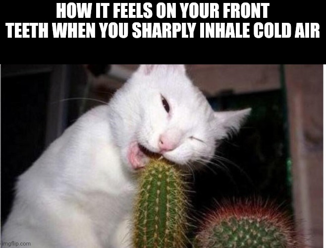 OUCH | HOW IT FEELS ON YOUR FRONT TEETH WHEN YOU SHARPLY INHALE COLD AIR | image tagged in ouch | made w/ Imgflip meme maker