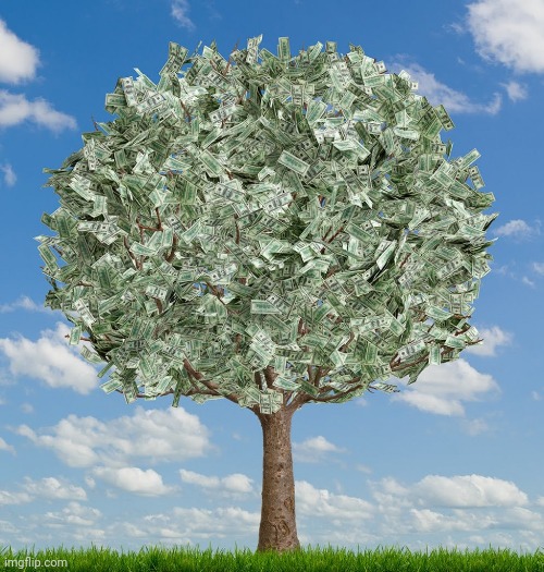 Money Tree | image tagged in money tree | made w/ Imgflip meme maker
