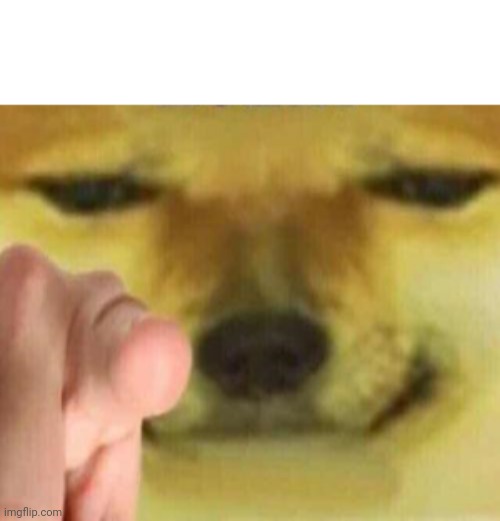 he said the n wodr | image tagged in he said the n wodr | made w/ Imgflip meme maker