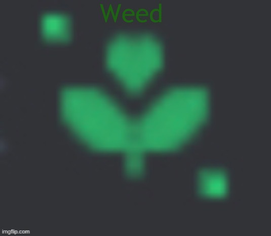weed | image tagged in weed | made w/ Imgflip meme maker