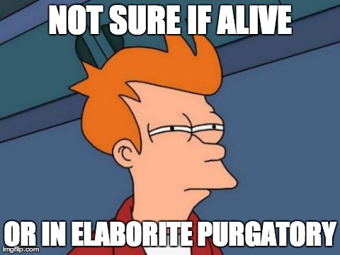 Lost | NOT SURE IF ALIVE OR IN ELABORITE PURGATORY | image tagged in memes,futurama fry | made w/ Imgflip meme maker