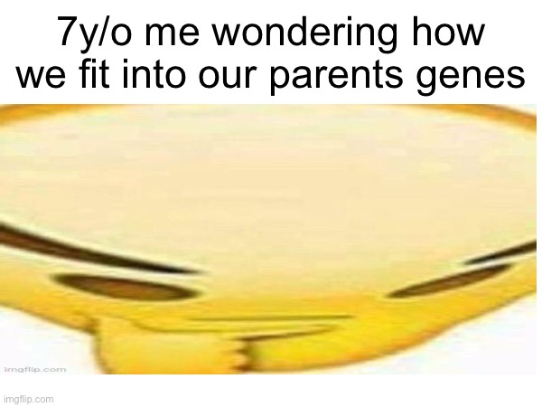 7y/o me wondering how we fit into our parents genes | image tagged in memes,i think we all know where this is going | made w/ Imgflip meme maker