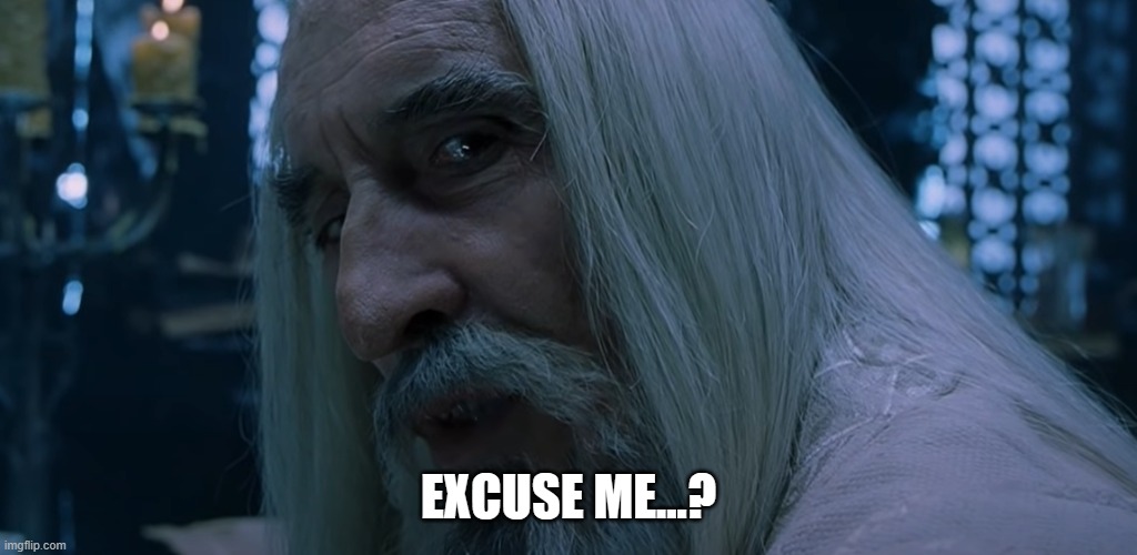 Saruman sou you have chosen death | EXCUSE ME...? | image tagged in saruman sou you have chosen death | made w/ Imgflip meme maker