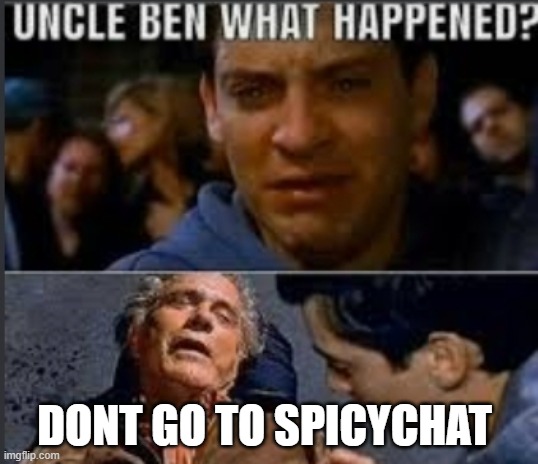 Uncle ben what happened | DONT GO TO SPICYCHAT | image tagged in uncle ben what happened | made w/ Imgflip meme maker