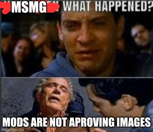 Uncle ben what happened | MSMG; MODS ARE NOT APROVING IMAGES | image tagged in uncle ben what happened | made w/ Imgflip meme maker
