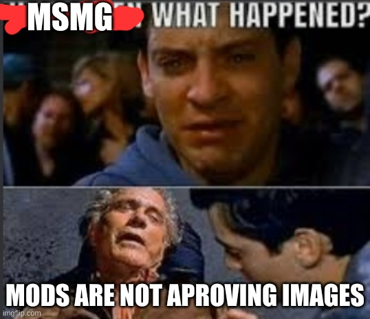 MSMG WHAT HAPPENED? Blank Meme Template
