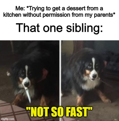 XDDD | Me: *Trying to get a dessert from a kitchen without permission from my parents*; That one sibling:; "NOT SO FAST" | made w/ Imgflip meme maker