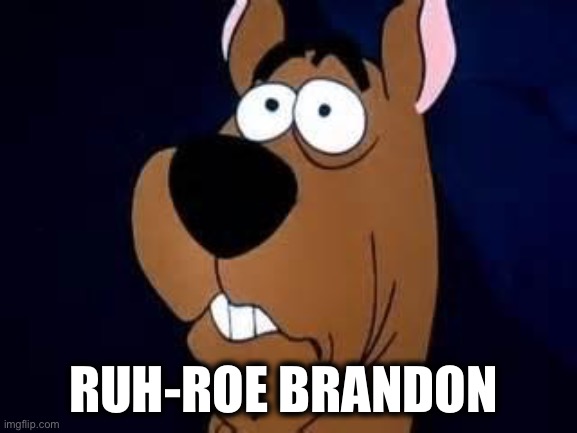 Scooby Doo Surprised | RUH-ROE BRANDON | image tagged in scooby doo surprised | made w/ Imgflip meme maker