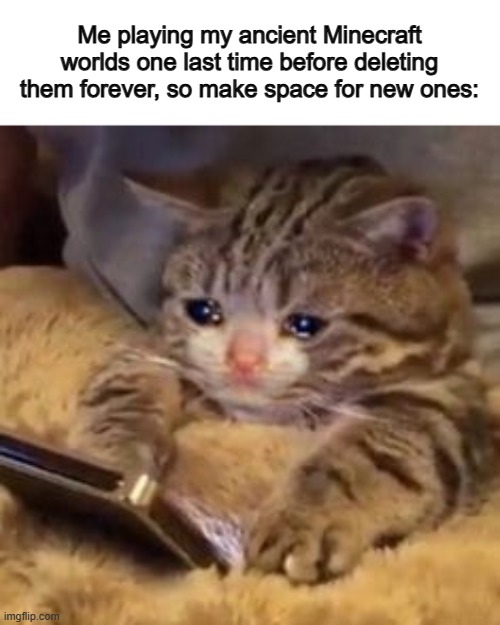 U_U | Me playing my ancient Minecraft worlds one last time before deleting them forever, so make space for new ones: | image tagged in crying cat on phone | made w/ Imgflip meme maker