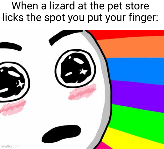 you are the owner chosen by destiny | When a lizard at the pet store licks the spot you put your finger: | image tagged in amazing,lizard,the chosen,kids,so true,funny | made w/ Imgflip meme maker