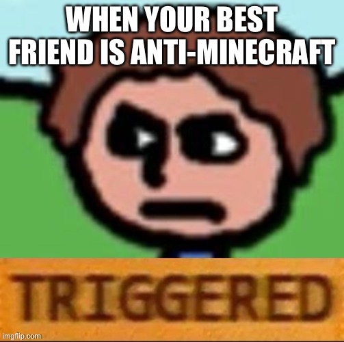 The duck song triggered | WHEN YOUR BEST FRIEND IS ANTI-MINECRAFT | image tagged in the duck song triggered | made w/ Imgflip meme maker