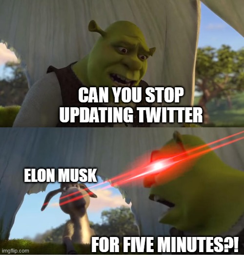 Current Twitter Situation | CAN YOU STOP UPDATING TWITTER; ELON MUSK; FOR FIVE MINUTES?! | image tagged in shrek for five minutes | made w/ Imgflip meme maker