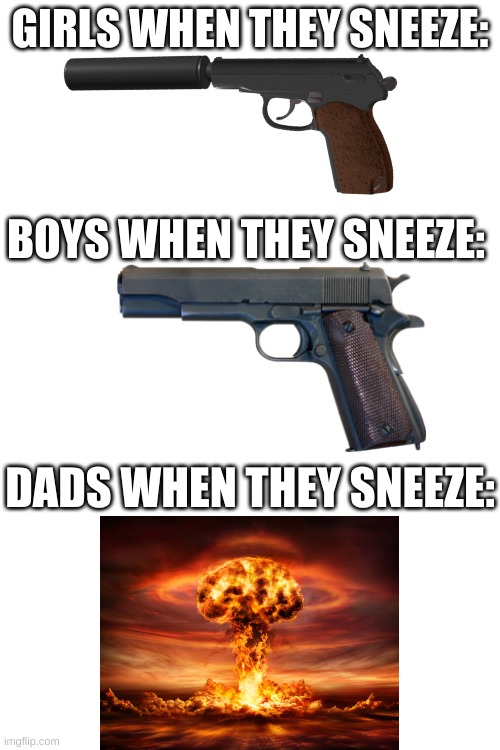 different people sneezing | GIRLS WHEN THEY SNEEZE:; BOYS WHEN THEY SNEEZE:; DADS WHEN THEY SNEEZE: | image tagged in memes,relatable | made w/ Imgflip meme maker