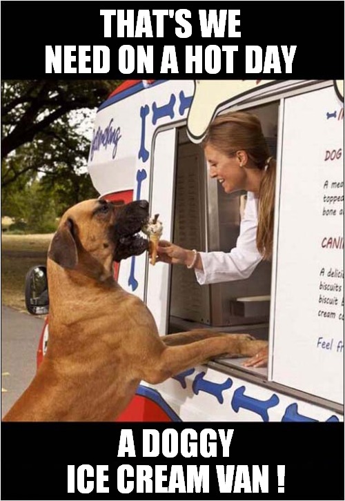 Ice Cream For Dogs ! | THAT'S WE NEED ON A HOT DAY; A DOGGY ICE CREAM VAN ! | image tagged in dogs,ice cream truck | made w/ Imgflip meme maker