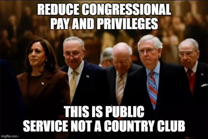 Term Limits would help too | image tagged in public servants,well yes but actually no,superior royalty,not really,politicians suck | made w/ Imgflip meme maker
