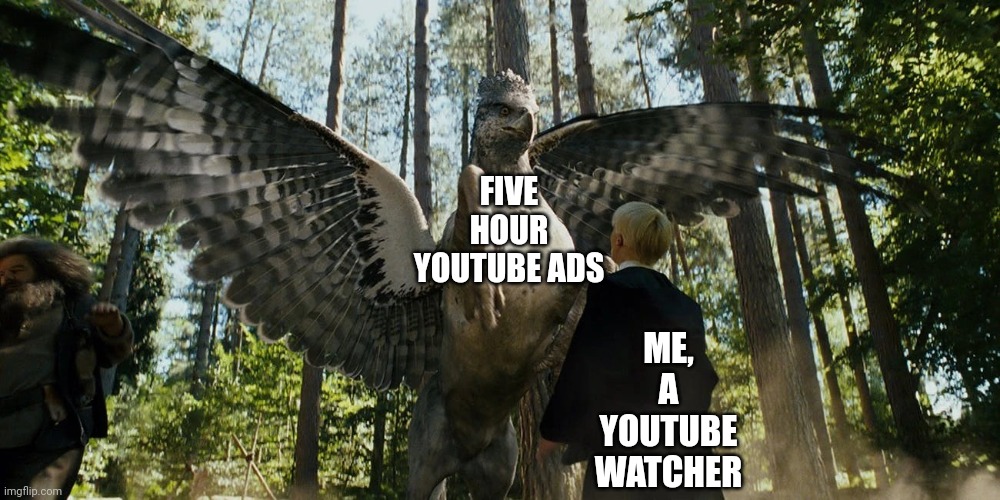 Five hours?!?!? | FIVE HOUR YOUTUBE ADS; ME, A YOUTUBE WATCHER | image tagged in buckbeak attacking draco malfoy | made w/ Imgflip meme maker