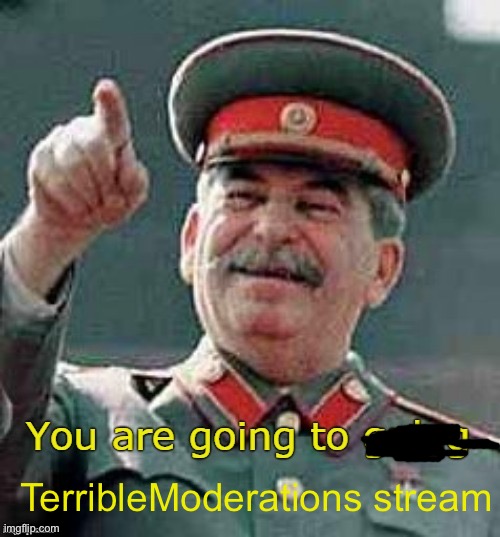 you are going to gulag | TerribleModerations stream | image tagged in you are going to gulag | made w/ Imgflip meme maker