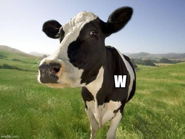 cow | W | image tagged in cow | made w/ Imgflip meme maker
